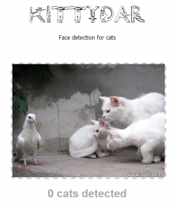 Kittydar: кошачий детектор на JavaScript​​